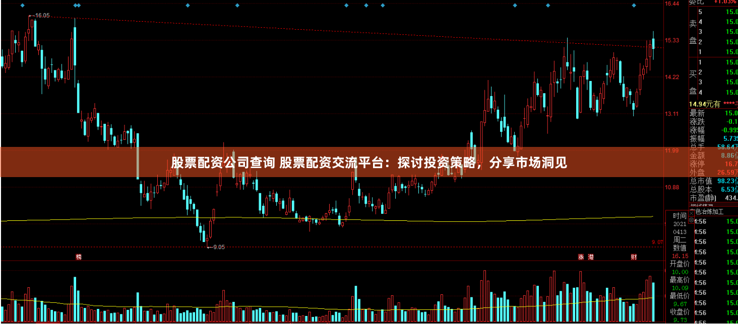 股票配资公司查询 股票配资交流平台：探讨投资策略，分享市场洞见