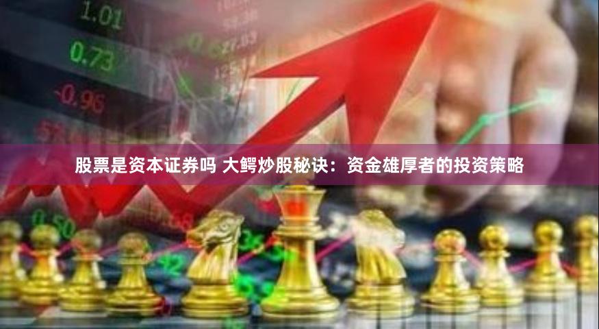 股票是资本证券吗 大鳄炒股秘诀：资金雄厚者的投资策略