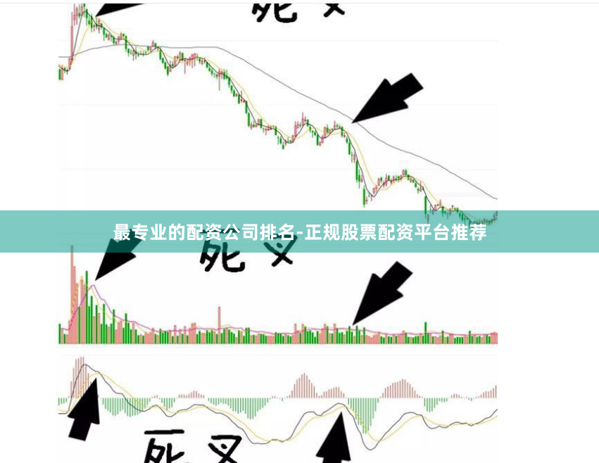 最专业的配资公司排名-正规股票配资平台推荐